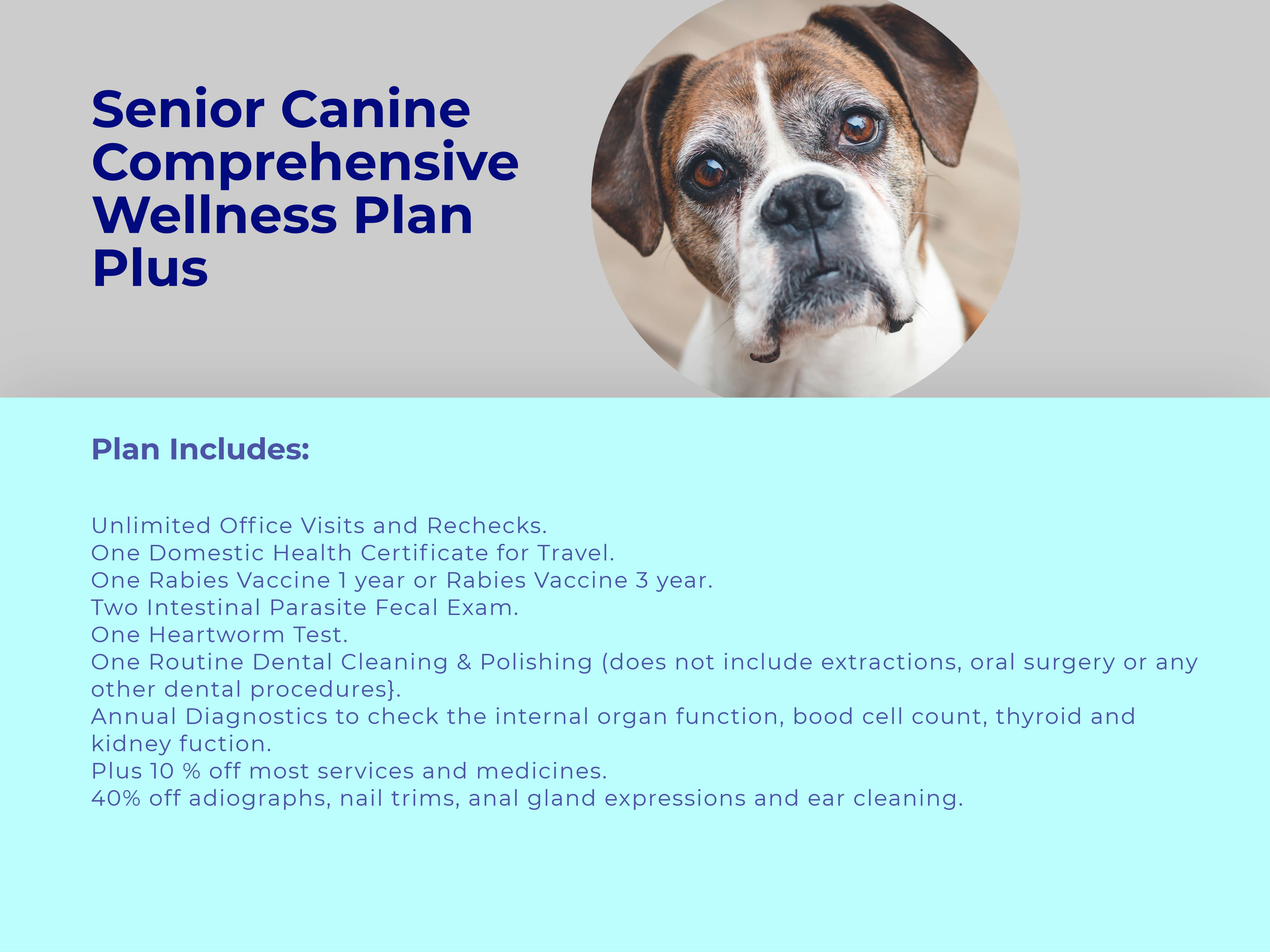 Senior Dog PLUS Comprehensive Wellness Plan at animal wellness clinic