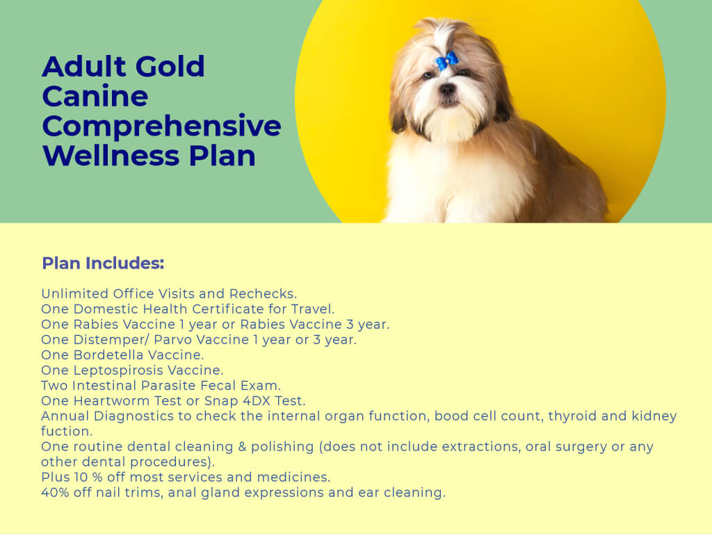 Adult Dog GOLD Comprehensive Wellness Plan at animal wellness clinic