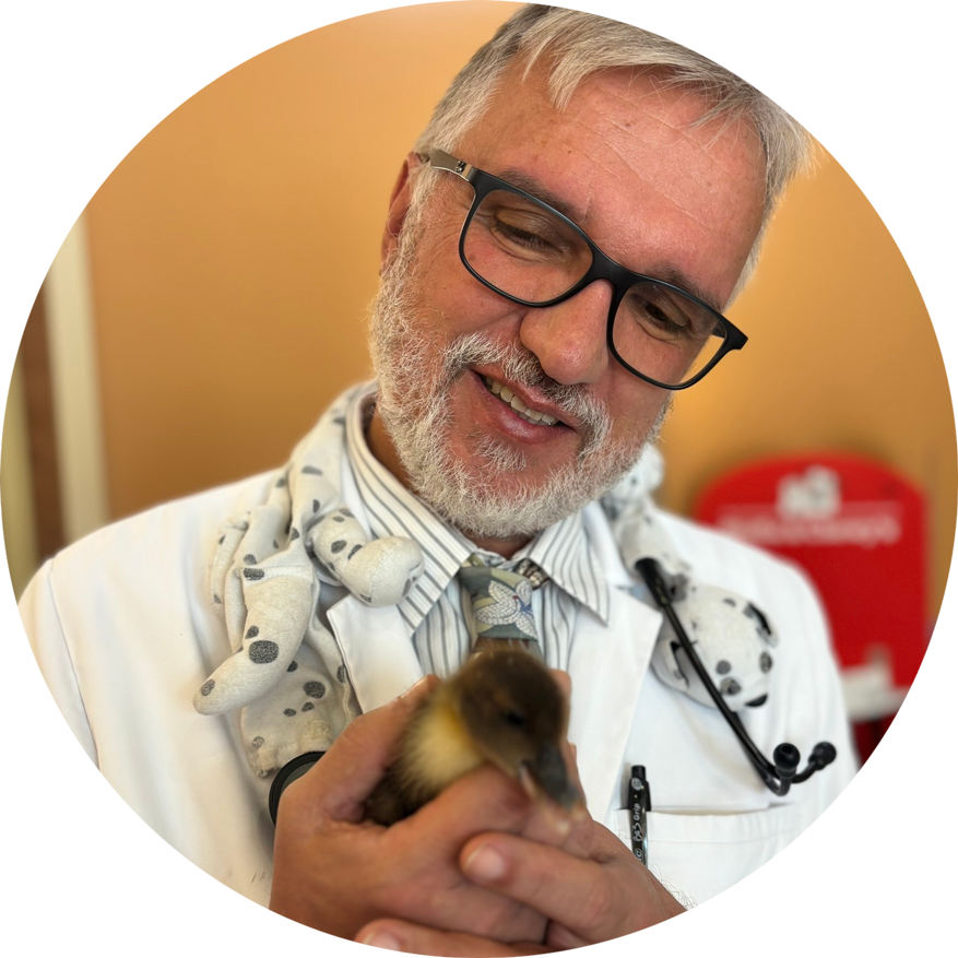 Tamarac Florida Veterinarians Animal Wellness of Tamarac Slogan