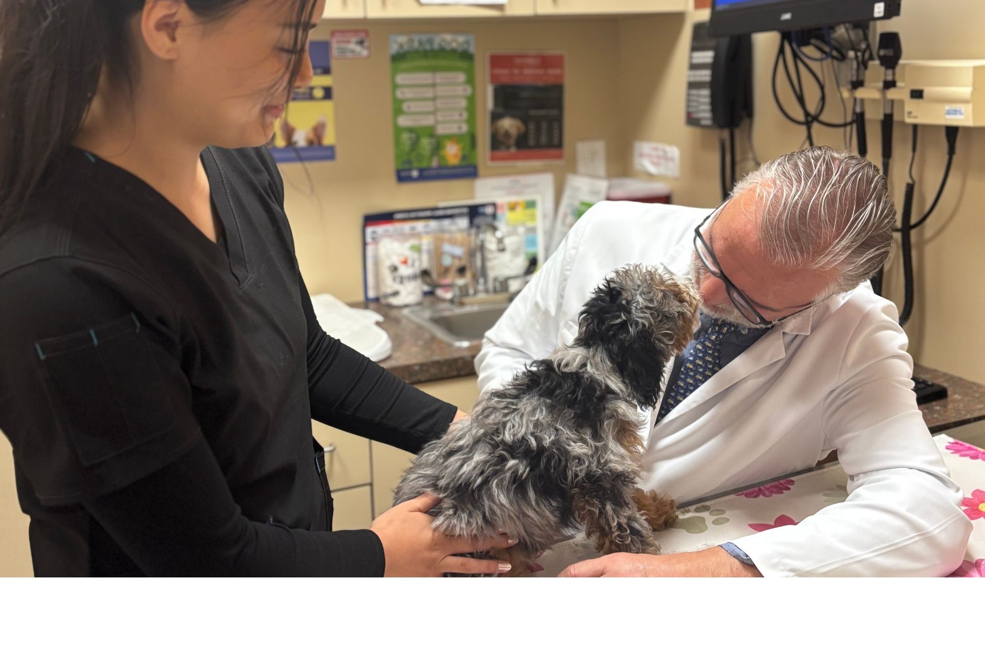 Dr. Darko with doodle