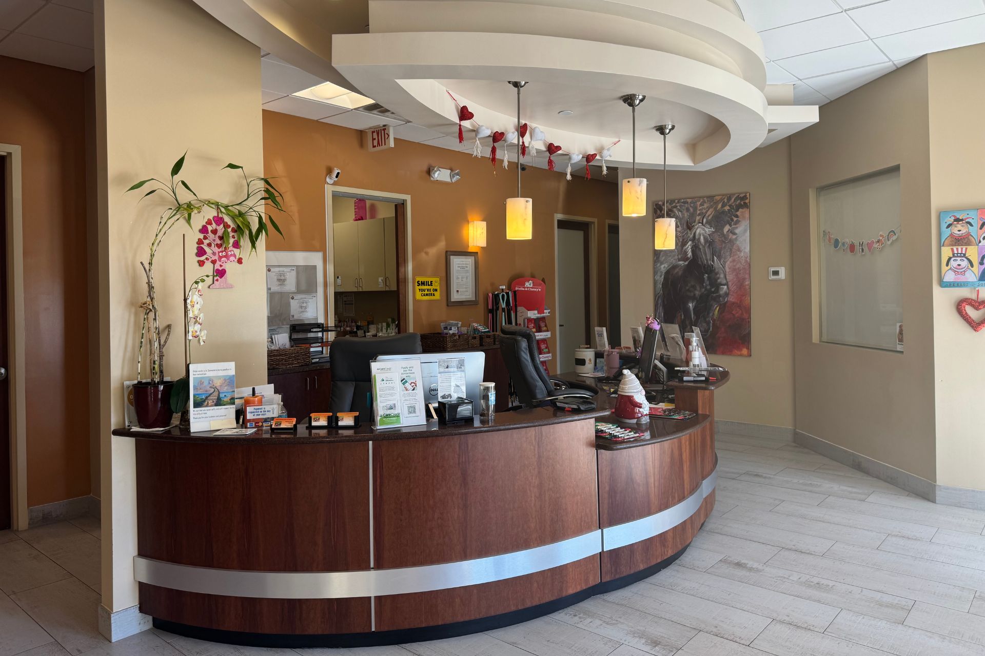 Tamarac Vet Front Desk