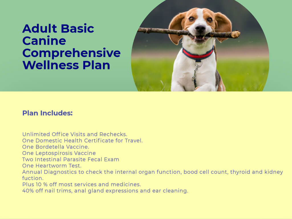 Adult Basic Dog Comprehensive Wellness Plan at animal wellness clinic