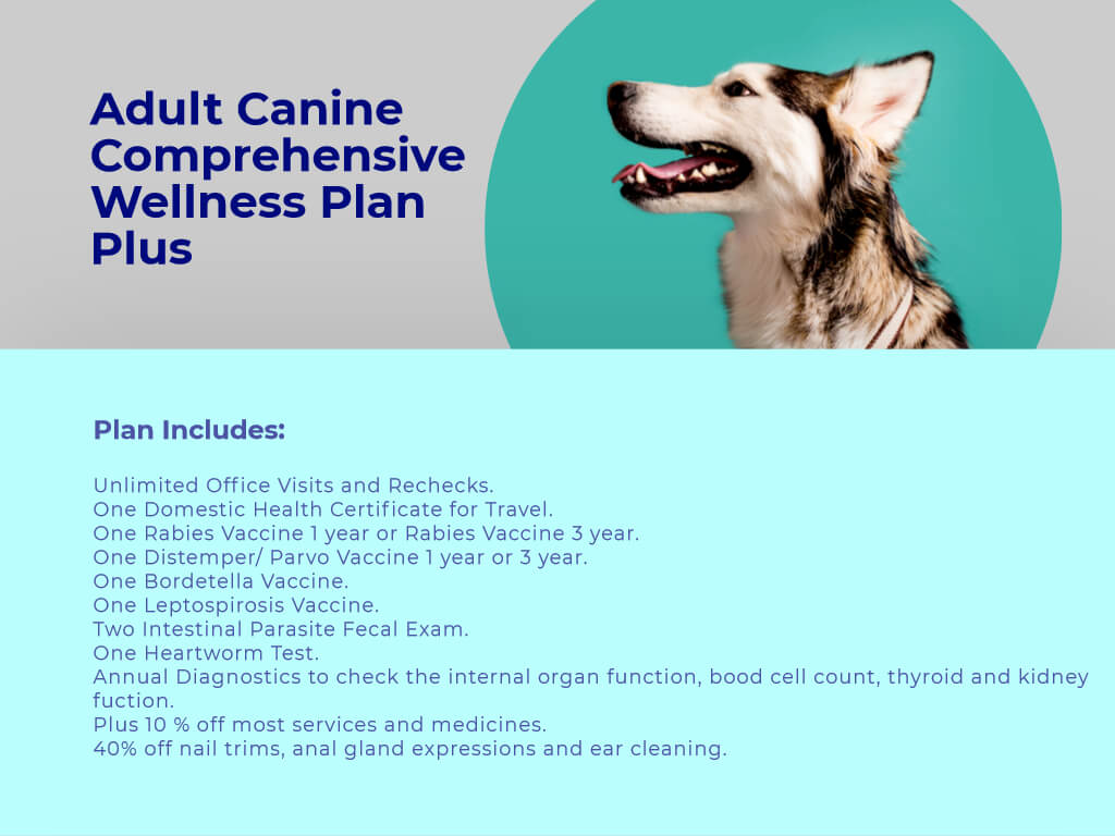 Adult Dog Comprehensive Wellness Plan Plus at animal wellness clinic