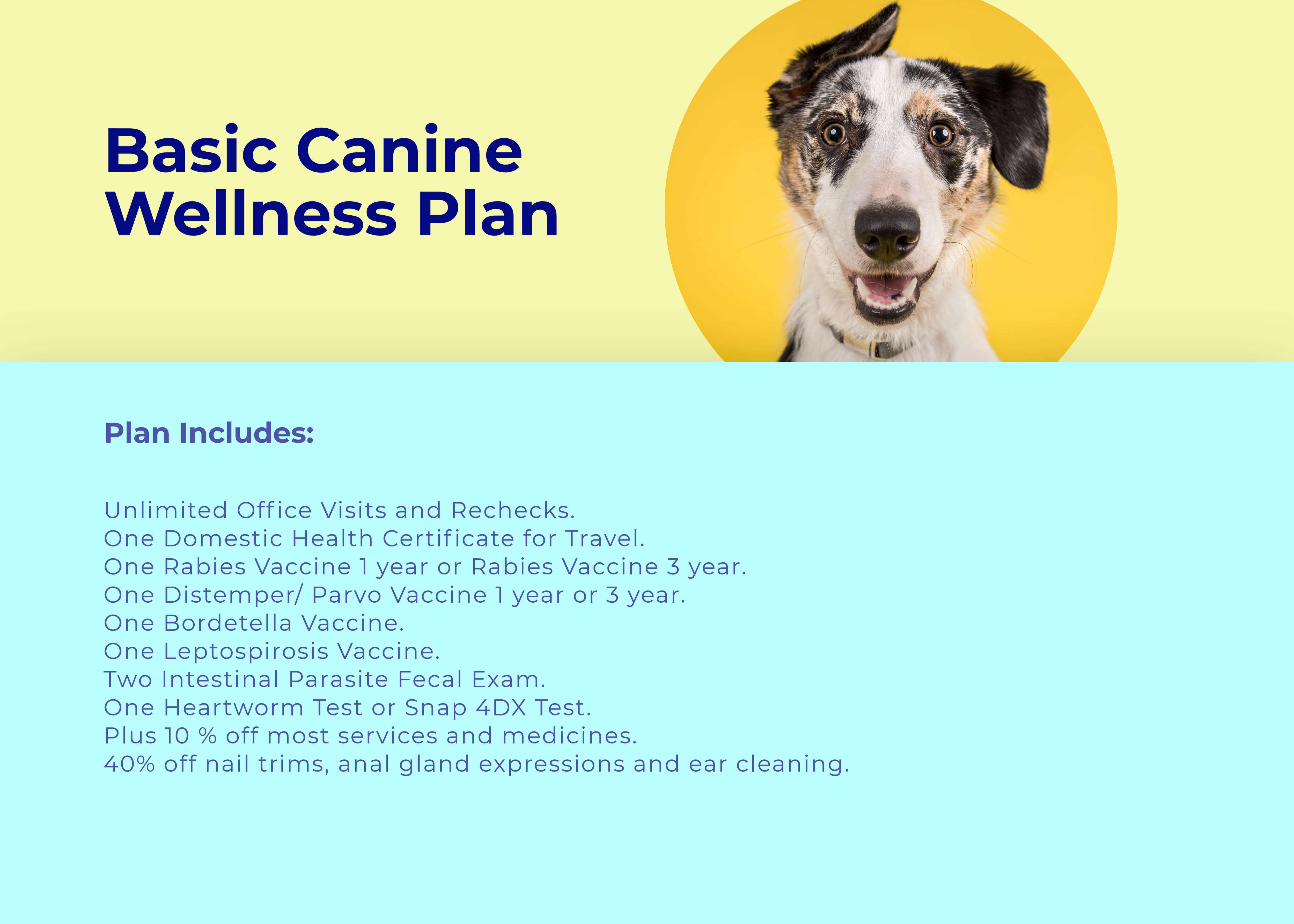 Adult dog basic wellness plan at animal wellness clinic