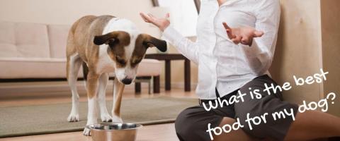 Confused woman and dog looking at food dish